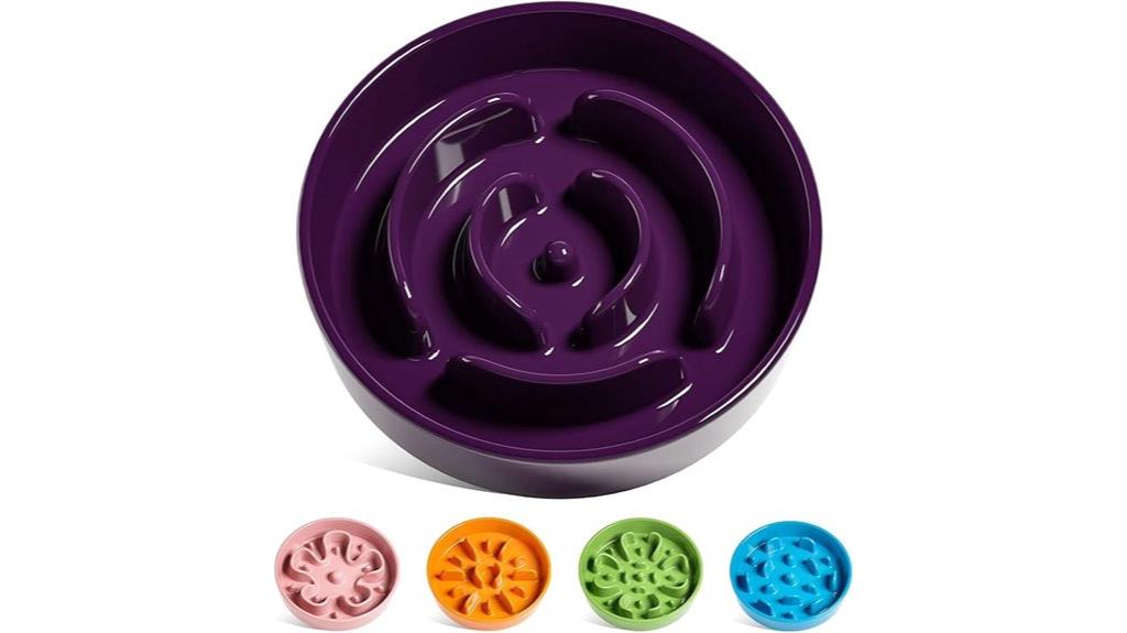 ceramic slow feed bowl