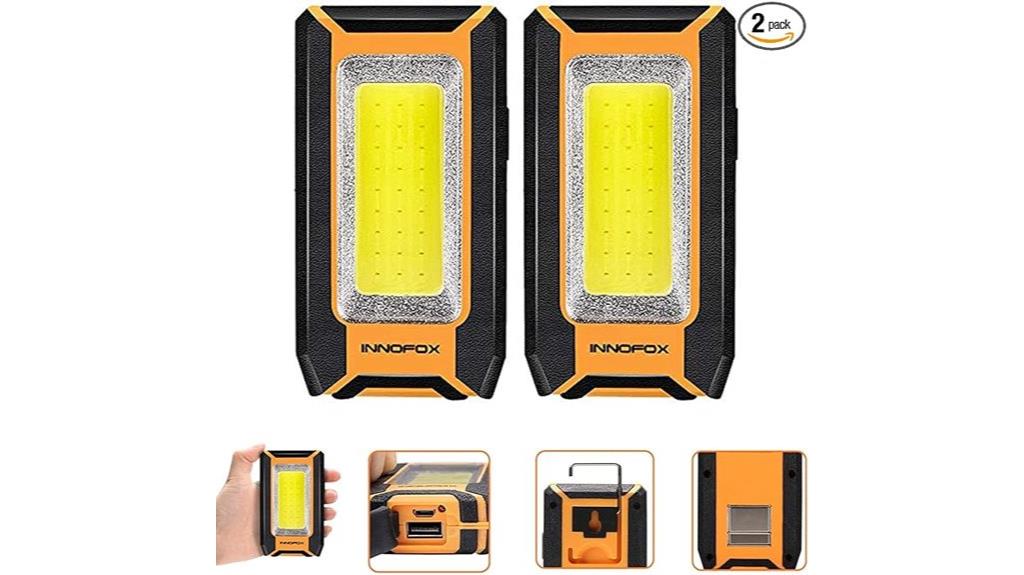 dual rechargeable magnetic lights