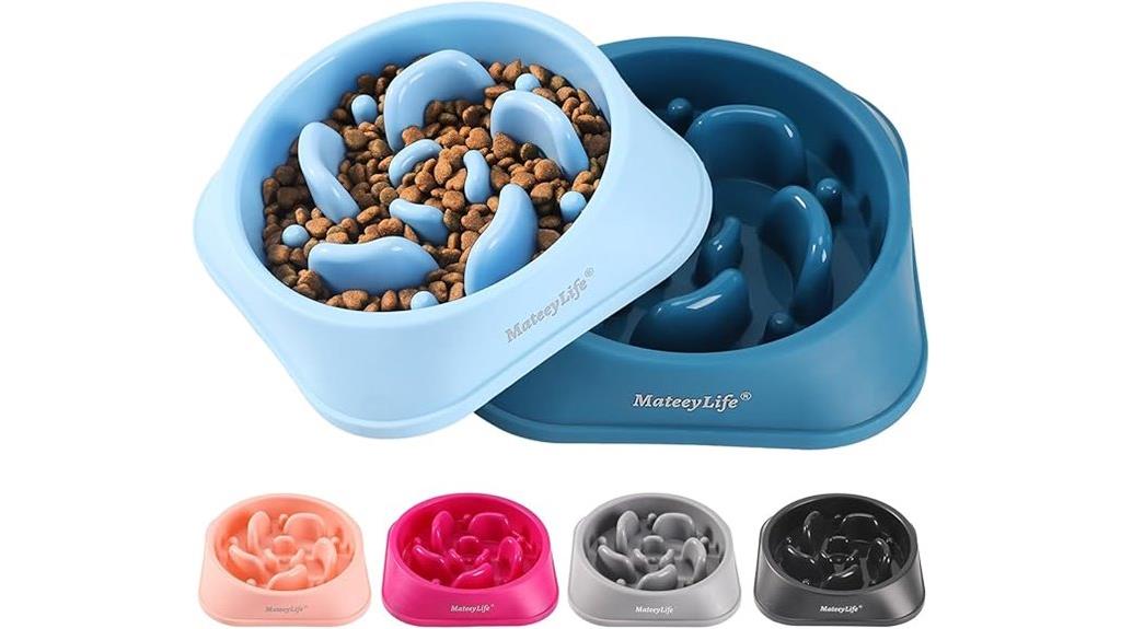 dual slow feeder bowls