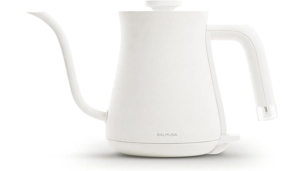 electric gooseneck kettle