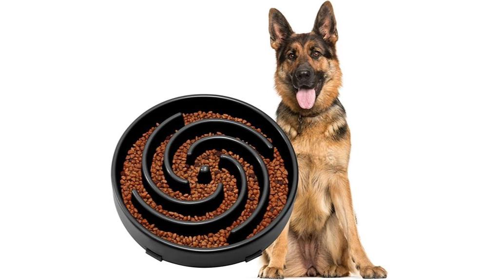 large dog slow feeder