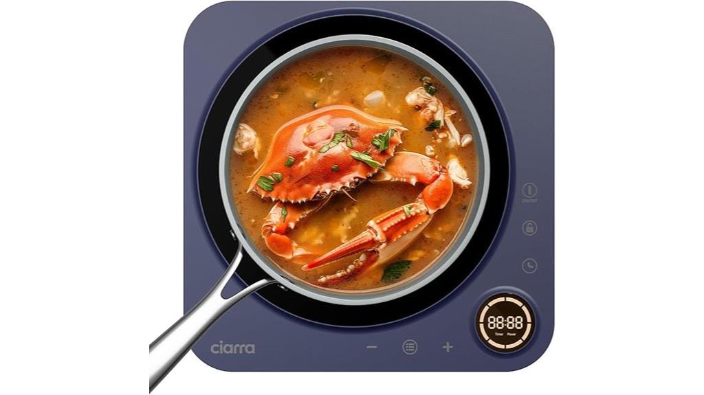 portable induction cooktop