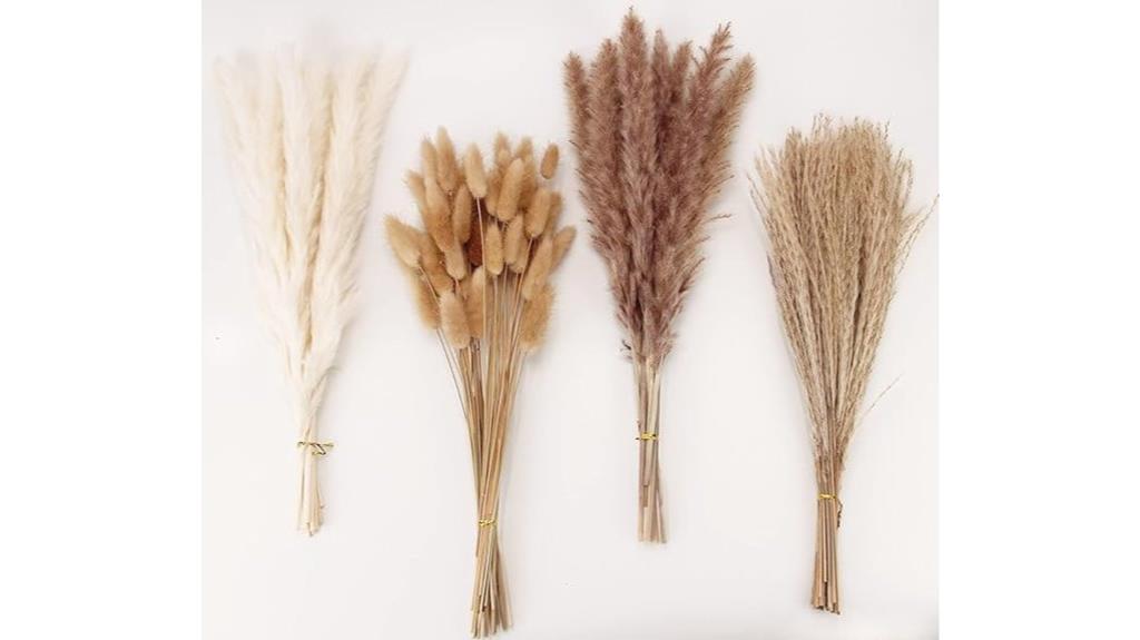 set of 100 dried pampas