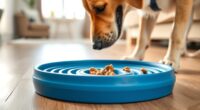 slow feeding dog bowls