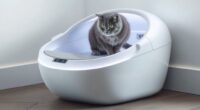 top self cleaning cat litter boxes