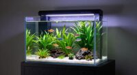 top 20 gallon aquarium kits