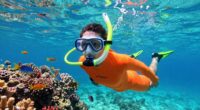 top beginner snorkeling gear