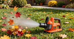top cordless leaf blowers