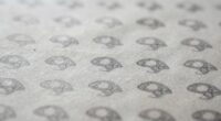 repetition boosts claim credibility