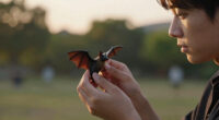 rabies bat